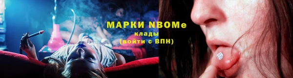 индика Алзамай