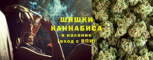 сатива Алексин