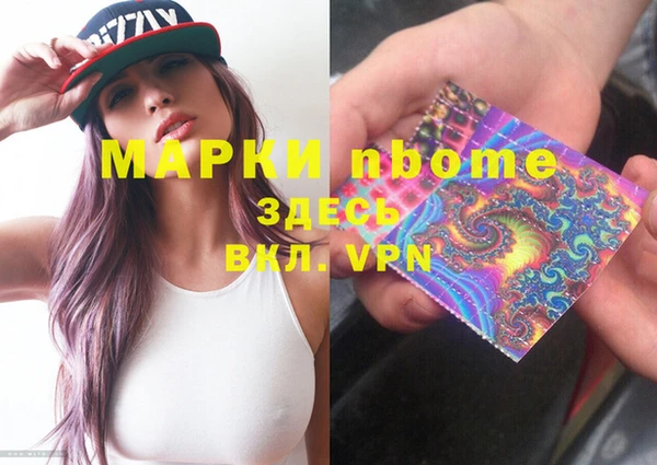 индика Алзамай
