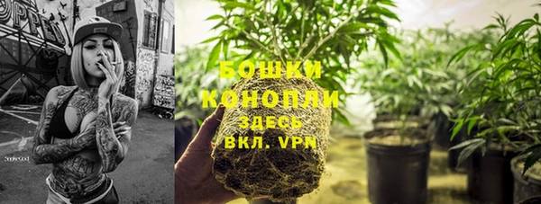 соль ск Ряжск