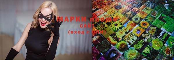 индика Алзамай