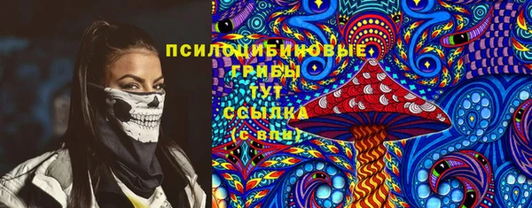 сатива Алексин