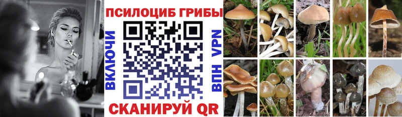 Галлюциногенные грибы ЛСД МЕГА рабочий сайт Чебаркуль купить